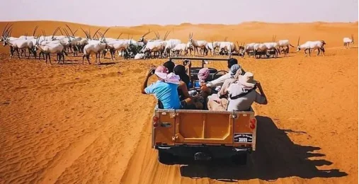 Heritage Safari – Путешествие во времени по следам бедуинов 0