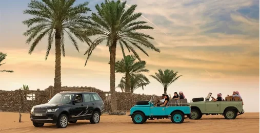 Platinum Safari – Элегантность и приключение в сердце дюн 2