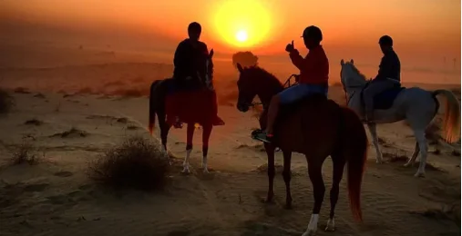 Катание на лошадях – Гармония и покой среди дюн 3
