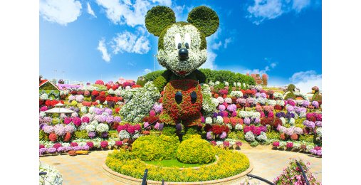 Билеты Dubai Miracle Garden 1