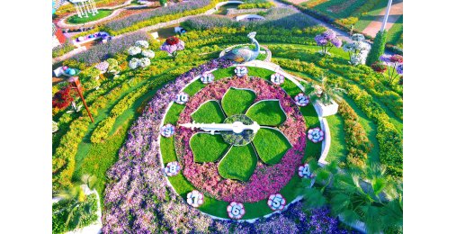 Билеты Dubai Miracle Garden 3