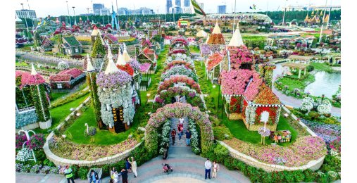 Билеты Dubai Miracle Garden 4