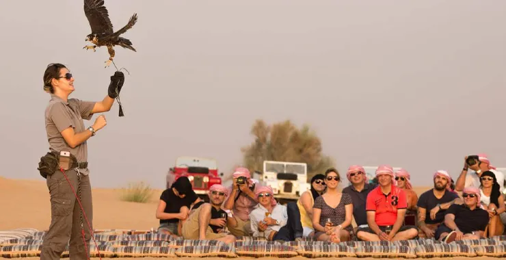 Platinum Safari – Элегантность и приключение в сердце дюн