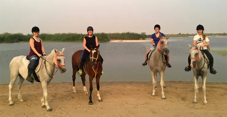 Катание на лошадях – Гармония и покой среди дюн